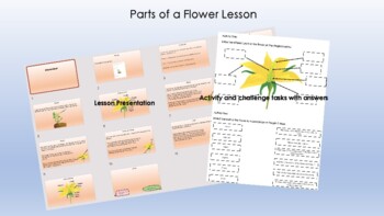Preview of Plants - Parts of a Flower Lesson