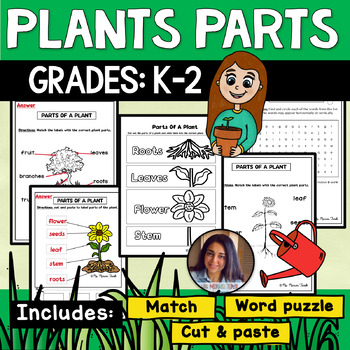 Preview of Plants Parts {worksheets} - Ms Marwa Tarek 