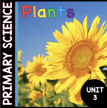 Preview of Plants - Photosynthesis - Lifecycle and Experiments Kindergarten - First Grade