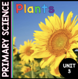 Plants - Photosynthesis - Lifecycle and Experiments Kinder