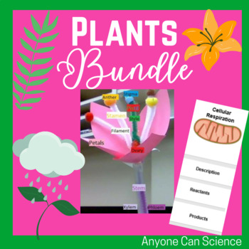 Preview of Plants & Photosynthesis Unit Bundle