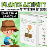 Plants, Plant Activities, Plants Life Cycle, Labeling Acti