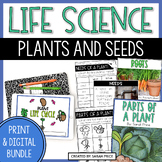 Plants & Seeds Worksheets & Digital Activities - 2nd & 3rd