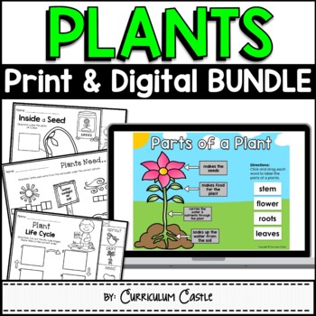 Preview of Plants: Plant Life Cycle Print & Digital Activities BUNDLE