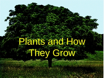 Preview of Plants, Plant parts, and plant needs PowerPoint lesson