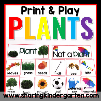 Preview of All About Plants & Plants Unit What is a Plant Parts of a Plant Using Plants