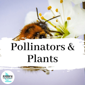 Preview of Plants & Pollinators - Human Impacts & Changes In Ecosystems Storyline Bundle