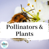 Plants & Pollinators - Human Impacts & Changes In Ecosyste