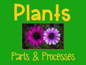 Preview of Plants Living Systems 4.4 Power Point