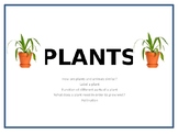 Plants - PowerPoint