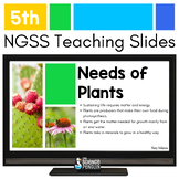 What Plants Need & Photosynthesis Teaching Slides | 5th Gr
