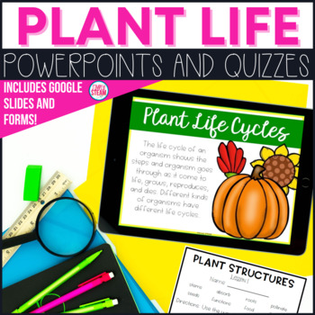 Preview of Plant Life Cycle and Environment PowerPoint Lessons Distance Learning