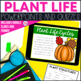Plant Life Cycle and Environment PowerPoint Lessons Distan