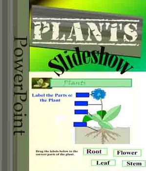 Preview of Plants Powerpoint Slideshow Science 42 Slides