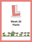 Plants Preschool Lesson Plan