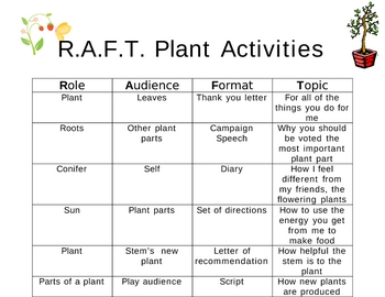 raft examples for science