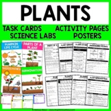 Plants - Reading Passages, Worksheets, Parts of a Plant