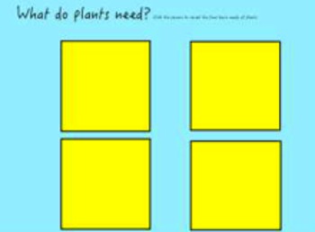 Preview of Plants Review Flipchart