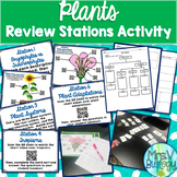 Plants Review Stations Activity