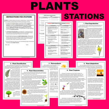 Preview of Plants STATIONS Plantae Reading Activity - Tropisms, Reproduction, Types, etc