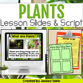 Plants, Parts of a Plant, Life Cycle PowerPoint Slides & N