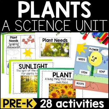 Preview of All About Plants Pre K: Plant Life Cycle & Parts of a Plant Activities & Crafts