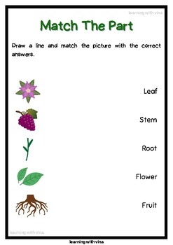 Plants (Science Worksheet) - Grade 1 by Learning With Vina | TPT