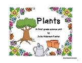 Plants: Science and Writing in First Grade