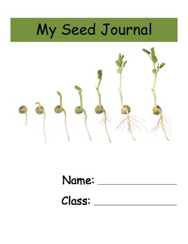 Preview of Plants - Seed Journal