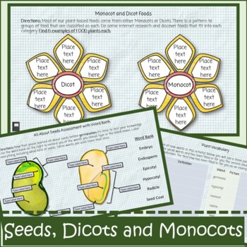 Preview of Plants Seeds Distance Learning Monocots Dicots Interactive Journal