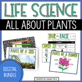 Plants, Seeds & Pollination Activities - 2nd & 3rd Grade D