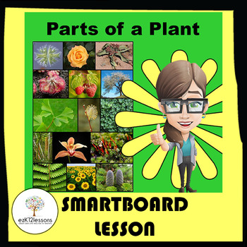 Preview of Plants Smartboard Lesson
