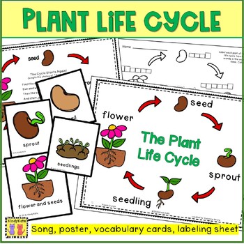 Plants Songs and Rhymes by KindyKats | Teachers Pay Teachers