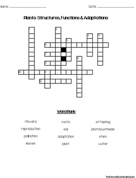 Plants: Structure, Function & Adaptations Crossword Puzzle *FREEBIE*