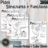 Plants: Structures & Functions | Doodle Notes & Color Sheet