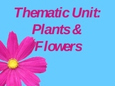 Plants Thematic Unit