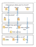 Plants & Trees Assessment