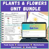 Plants Unit Bundle - Flower Parts - Pollination - Photosyn