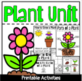Plants Unit | Kindergarten