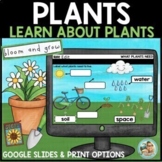 Plants Unit | Life Cycle | Parts Google Slides & Print Option