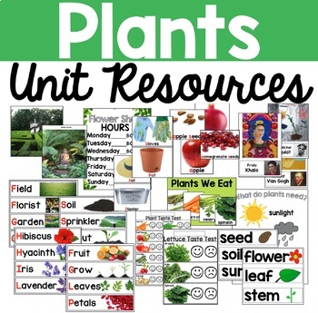 Preview of Plants Unit Resources - NYCDOE Unit 8