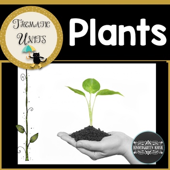 Preview of Plants Activities Thematic Unit