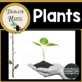 Plants Activities Thematic Unit
