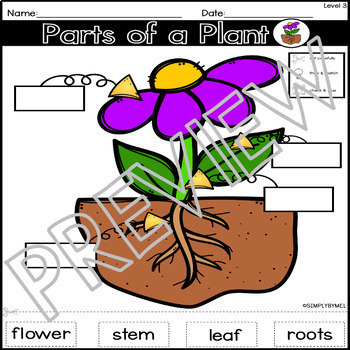 Plants Unit l Special Education l PREK FOR ALL by Simply By MEL | TPT