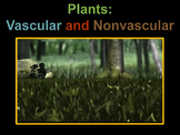 Plants: Vascular and Nonvascular (lots of animations)