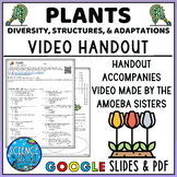Plants Video Handout - Amoeba Sisters Video