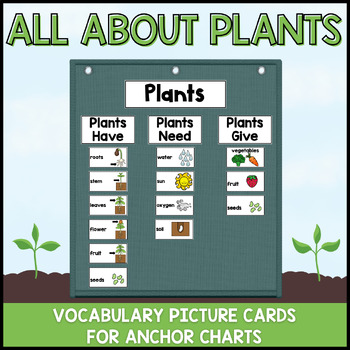 Preview of Plants Vocabulary Picture Cards for Anchor Charts