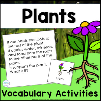 Preview of Plants Vocabulary Riddles and Activities