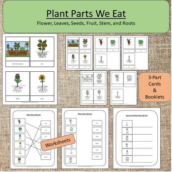 Plants We Eat Science Parts of a Plant Montessori by Simply Learning Shop