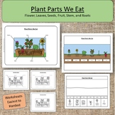 Plants We Eat Science Parts of a Plant Montessori